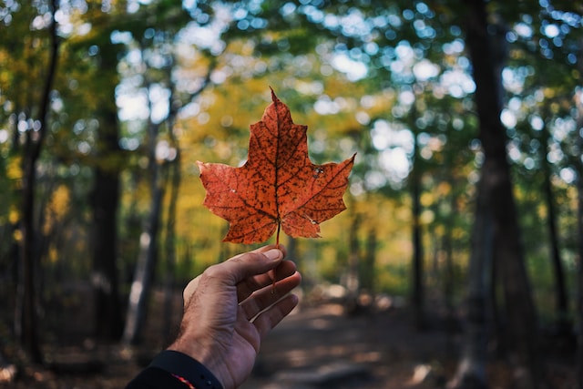 Canada’s History